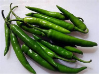 Chili জলকীয়া